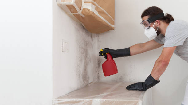 Professional Basement Mold Remediation technician working in New Hill, NC