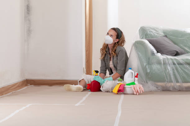 Reliable Basement Mold Remediation contractor in New Hill, NC by Mold Remediation HQ